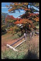 02121-00439-West Virginia Fall Color.jpg