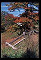 02121-00440-West Virginia Fall Color.jpg