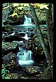 02123-00004-West Virginia Waterfalls.jpg