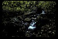 02123-00007-West Virginia Waterfalls.jpg