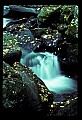 02123-00011-West Virginia Waterfalls.jpg