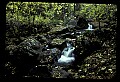 02123-00013-West Virginia Waterfalls.jpg