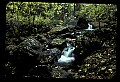 02123-00013-West Virginia Waterfalls.jpg