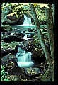 02123-00015-West Virginia Waterfalls.jpg
