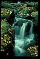 02123-00019-West Virginia Waterfalls.jpg