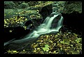 02123-00020-West Virginia Waterfalls.jpg
