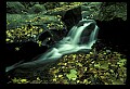 02123-00021-West Virginia Waterfalls.jpg