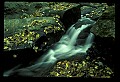 02123-00022-West Virginia Waterfalls.jpg