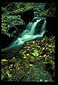 02123-00023-West Virginia Waterfalls.jpg