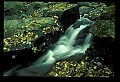 02123-00024-West Virginia Waterfalls.jpg