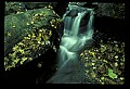 02123-00025-West Virginia Waterfalls.jpg
