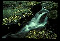 02123-00026-West Virginia Waterfalls.jpg