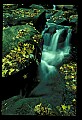 02123-00028-West Virginia Waterfalls.jpg