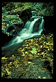 02123-00033-West Virginia Waterfalls.jpg