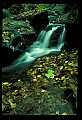 02123-00035-West Virginia Waterfalls.jpg