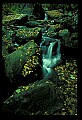 02123-00036-West Virginia Waterfalls.jpg