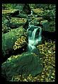 02123-00038-West Virginia Waterfalls.jpg