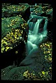02123-00039-West Virginia Waterfalls.jpg