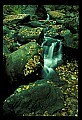02123-00040-West Virginia Waterfalls.jpg