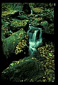 02123-00042-West Virginia Waterfalls.jpg