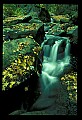 02123-00043-West Virginia Waterfalls.jpg
