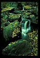 02123-00044-West Virginia Waterfalls.jpg
