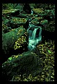 02123-00045-West Virginia Waterfalls.jpg
