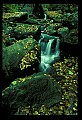 02123-00046-West Virginia Waterfalls.jpg