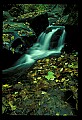 02123-00049-West Virginia Waterfalls.jpg