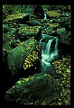 02123-00050-West Virginia Waterfalls.jpg