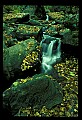 02123-00051-West Virginia Waterfalls.jpg
