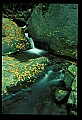 02123-00063-West Virginia Waterfalls.jpg