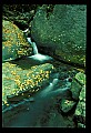 02123-00065-West Virginia Waterfalls.jpg