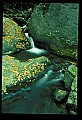 02123-00066-West Virginia Waterfalls.jpg