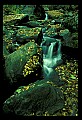 02123-00068-West Virginia Waterfalls.jpg
