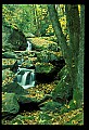 02123-00069-West Virginia Waterfalls.jpg
