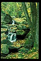 02123-00070-West Virginia Waterfalls.jpg