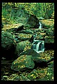 02123-00071-West Virginia Waterfalls.jpg