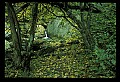 02123-00072-West Virginia Waterfalls.jpg