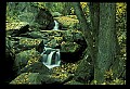 02123-00073-West Virginia Waterfalls.jpg