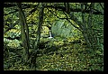 02123-00074-West Virginia Waterfalls.jpg