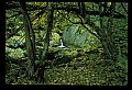 02123-00076-West Virginia Waterfalls.jpg