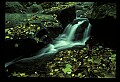 02123-00077-West Virginia Waterfalls.jpg