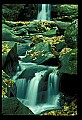 02123-00078-West Virginia Waterfalls.jpg