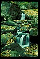 02123-00082-West Virginia Waterfalls.jpg