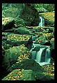 02123-00083-West Virginia Waterfalls.jpg