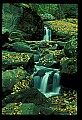 02123-00085-West Virginia Waterfalls.jpg