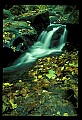 02123-00087-West Virginia Waterfalls.jpg