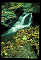02123-00100-West Virginia Waterfalls.jpg