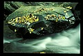02123-00101-West Virginia Waterfalls.jpg